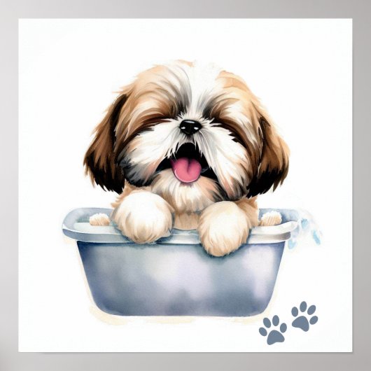 Shih Tzu Dog Poster (Voorkant)