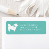 Shih Tzu Dog Puppy Teddy Bear Short Hair Etiket (Insitu)