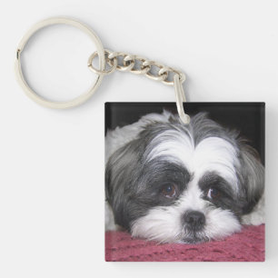 Shih Tzu Dog Sleutelhanger