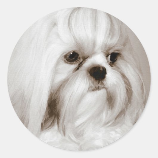 Shih Tzu Dog Sticker (Voorkant)