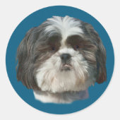 Shih Tzu Dog Sticker (Voorkant)