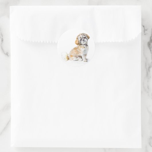 Shih Tzu Dog Stickers (Tas)
