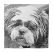 SHIH TZU DOG TEGELTJE (Voorkant)