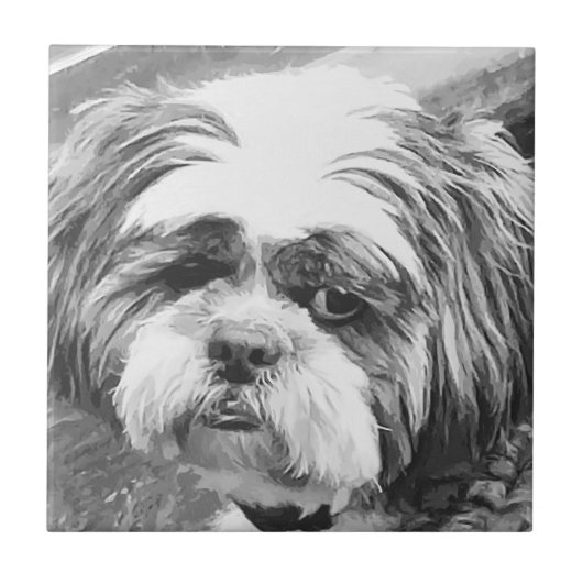 SHIH TZU DOG TEGELTJE (Voorkant)