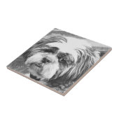 SHIH TZU DOG TEGELTJE (Zijkant)