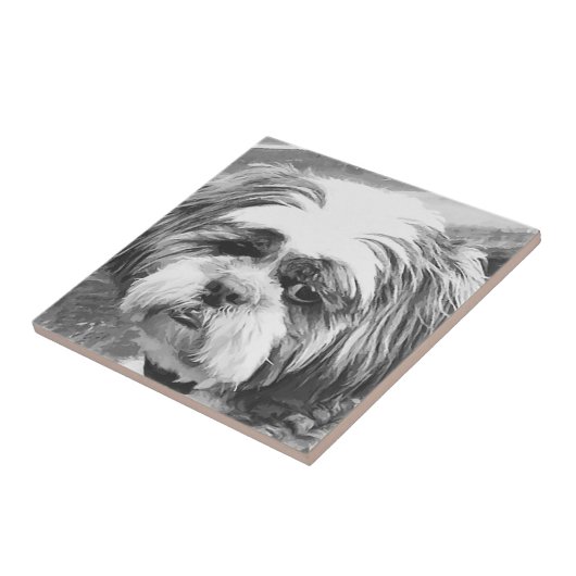 SHIH TZU DOG TEGELTJE (Zijkant)