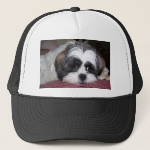Shih Tzu Dog Trucker Pet
