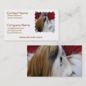 Shih Tzu Dog Visitekaartjes (Voorkant / Achterkant)
