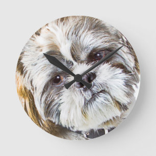 Shih Tzu Dog Wall klok