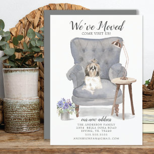 Shih tzu Dog We hebben de aankondiging verplaatst