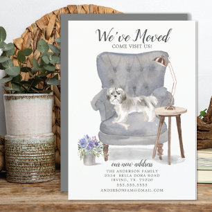 Shih tzu Dog We hebben de aankondiging verplaatst