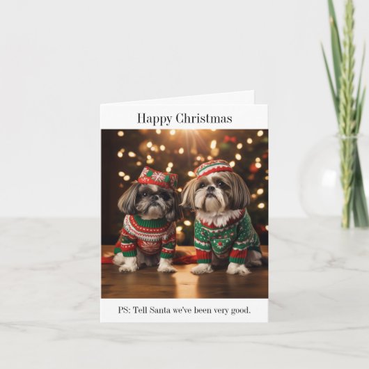 Shih Tzu Dogs-kerstkaart Kaart (Voorkant)