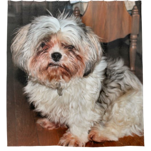Shih Tzu Douchegordijn (Voorkant)