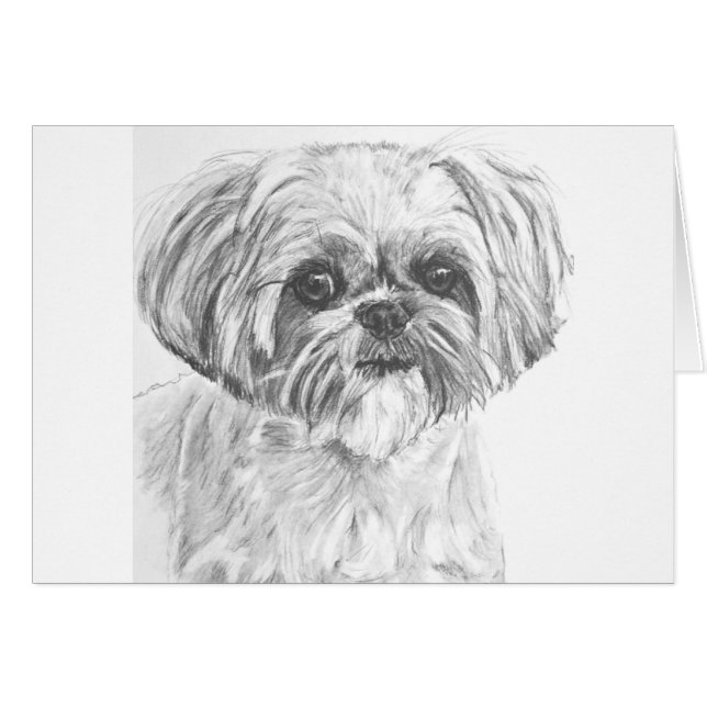 Shih Tzu Drawing (Voorkant Horizontaal)
