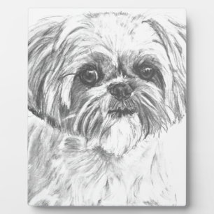 Shih Tzu Drawing Fotoplaat