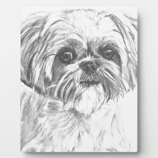 Shih Tzu Drawing Fotoplaat (Voorkant)