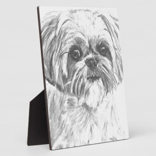 Shih Tzu Drawing Fotoplaat (Zijkant)
