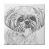 Shih Tzu Drawing Tegeltje (Voorkant)