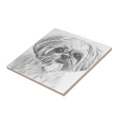 Shih Tzu Drawing Tegeltje (Zijkant)