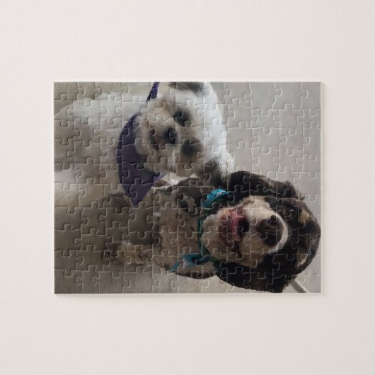 Shih Tzu en Cocker Spaniel Dog Puzzle Legpuzzel (Horizontaal)