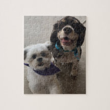 Shih Tzu en Cocker Spaniel Dog Puzzle