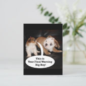 Shih Tzu en English Bulldog Puppys Briefkaart (Staand voorkant)