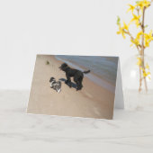 Shih-Tzu en poedelvrienden op het strand Kaart (Gele Bloem)