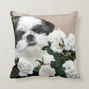 Shih Tzu en rozen Kussen