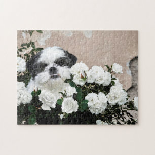 Shih Tzu en rozen Legpuzzel