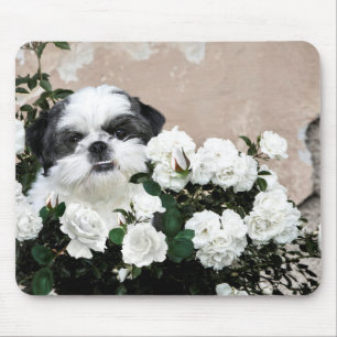 Shih Tzu en rozen Muismat