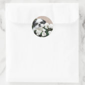 Shih Tzu en rozen Ronde Sticker (Tas)