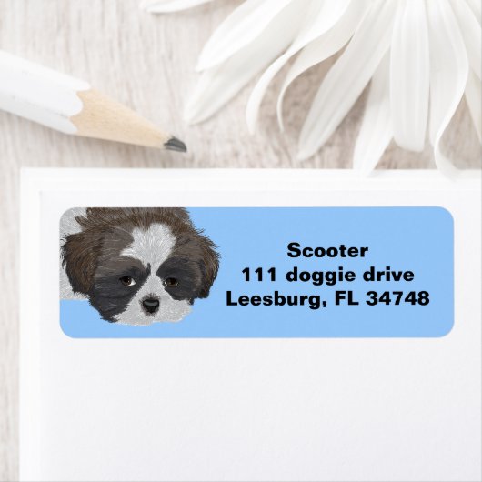 Shih Tzu Etiket (Insitu)