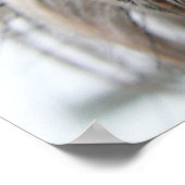 Shih Tzu Face Poster (Hoek)