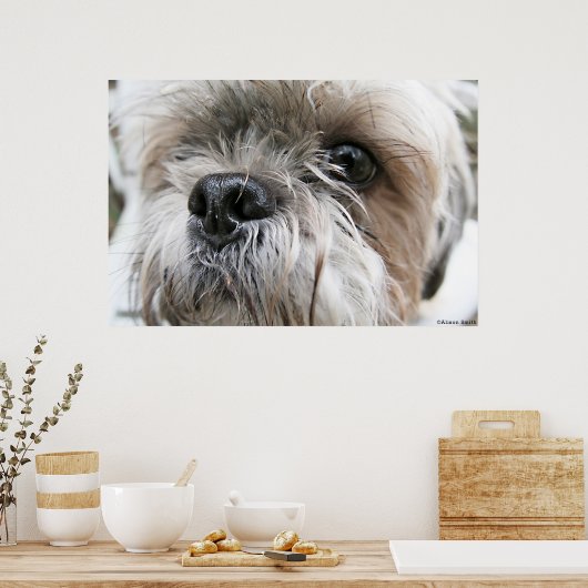 Shih Tzu Face Poster (Keuken)