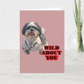 Shih Tzu Feestdagen Kaart (Voorkant)