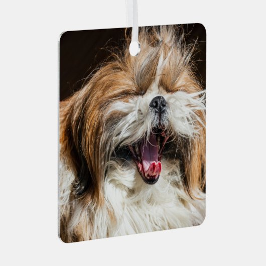 Shih tzu gaapt lachend grappig schattig metalen ornament (Voorkant Rechts)