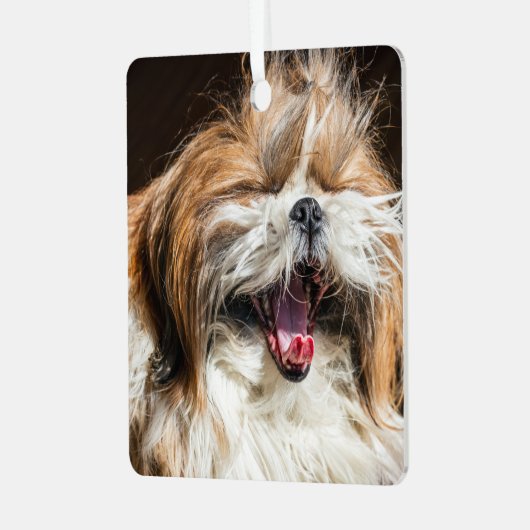 Shih tzu gaapt lachend grappig schattig metalen ornament (Voorkant links)