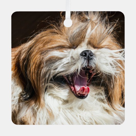 Shih tzu gaapt lachend grappig schattig metalen ornament (Voorkant)