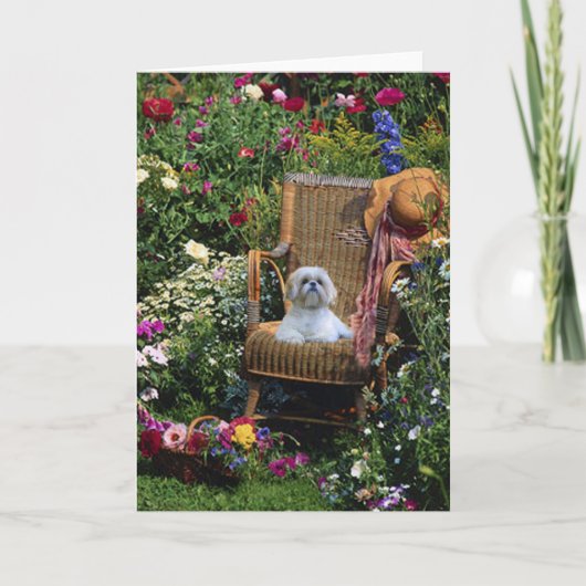 Shih Tzu Garden Kaart (Voorkant)