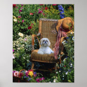 Shih Tzu Garden Poster (Voorkant)