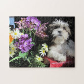 SHIH TZU... gazuntite. Legpuzzel (Horizontaal)