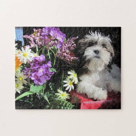 SHIH TZU... gazuntite. Legpuzzel (Horizontaal)