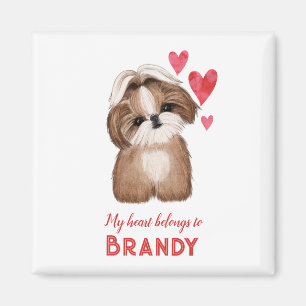 Shih Tzu gepersonaliseerd mijn hart behoort tot Magneet