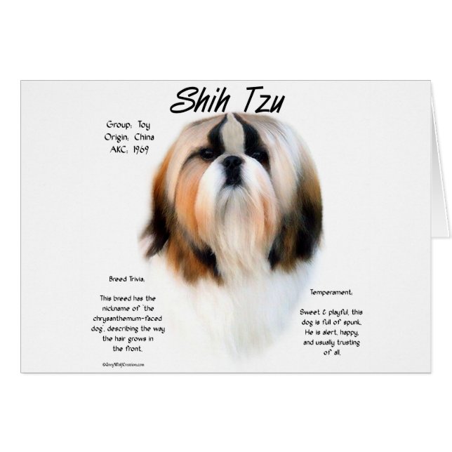 Shih Tzu Geschiedenis Ontwerp (Voorkant Horizontaal)