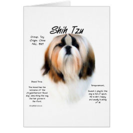 Shih Tzu Geschiedenis Ontwerp