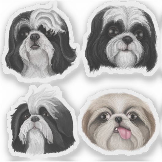 Shih Tzu gezichten Sticker (Voorkant)