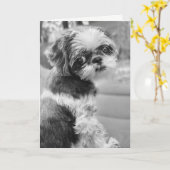 Shih Tzu Girl Black en White Wenskaart Kaart (Gele Bloem)