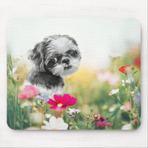 Shih Tzu Girl Dog Muismat