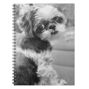 Shih Tzu Girl Notitieboek