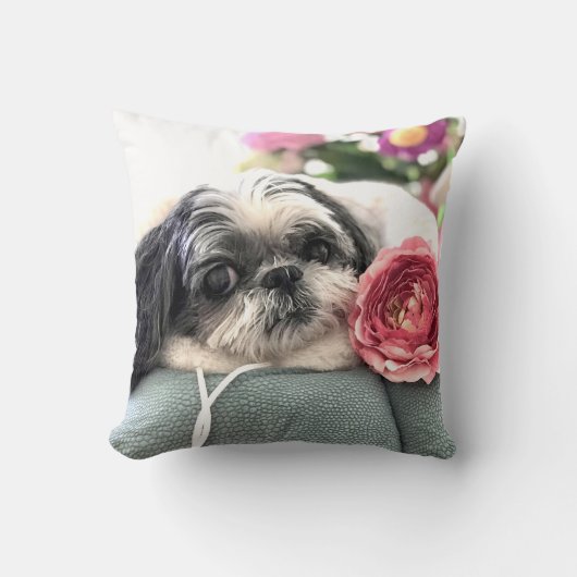 Shih Tzu Girl Sierkussen (Voorkant)